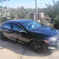 ماليبو • بصرة • وبيها مجال