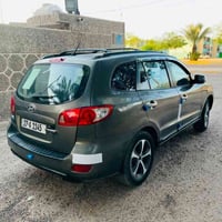 سنتافي • ٢٠٠٧ • مصبوغه جماليه