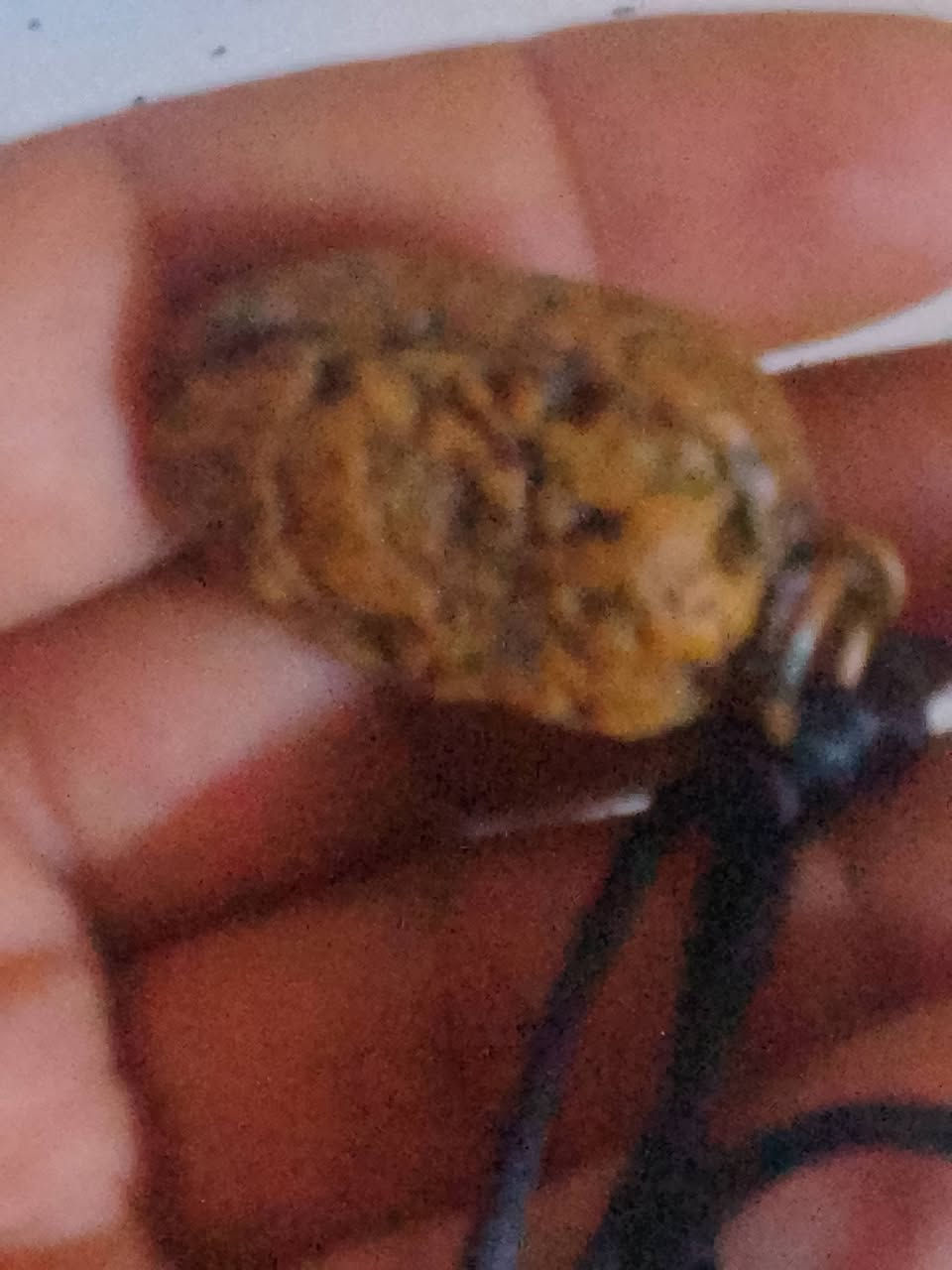 عندي هاي حجره للبيع شراي يجي خاص


**إذا كنت صاحب هذا الإعلان وتريد حذفه لأي سبب، رجاءا أرسل رسالة إلى الدعم الفني**