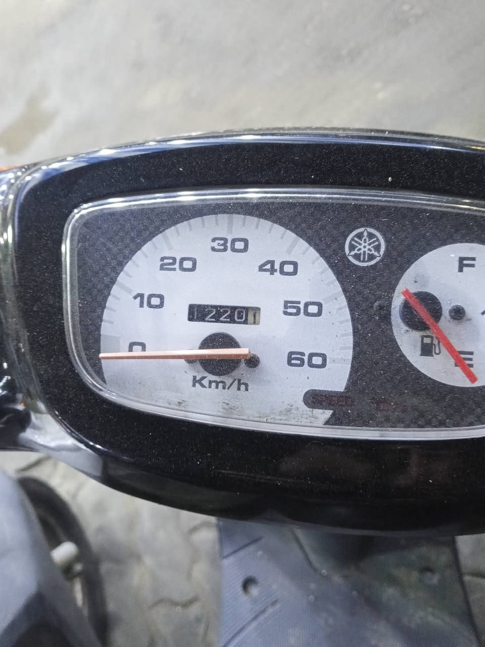 منغولي 60 حاويه ياباني عدد 2 فحل و1 نثيه
نظافه فول حته مشيهن قليل جدد بمعنه 
السعر 850 
وبطه حاويه ياباني خطين عدد 1
نظافه فول وشرط 
السعر 800
مكانهن سماوة كورنيش
أي استفسار اتصل على أو واتساب 
***********
او مازنجر مفتوح
