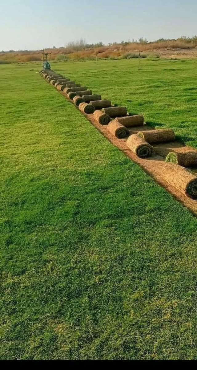 باسعار ثيل ديالى الطبيعي 🏡
أهلاً بكم في مجموعه مزارع ديالى لثيل الهندي الطبيعي 🌿🌱

 نقدم لكم افضل انوع الثيل الطبيعي عالي الجوده يتحمل كافه الضروف البيئية.🌦️🌞

دائم الخضرة🌿🌳 وباسعار تنافسيه وعروض مميزة ☘️❤️

#مستعدون لتجهيز وفرش الحدائق🏡 ودوائر الدولة🏡والمنازل🏡🏡

و تجهيز الملاعب🏟️ والمنتزهات بانسب الاسعار مع ضمان الجودة العالية في العمل👷👷

مع خدمة التوصيل خلال24ساعه🚛🚛  

الاسعار 💵💸 تختلف حسب الكمية 

للاستفسار الاتصال على : 

او التواصل مع الصفحه عن طريق ارسال رسالة على الوتساب او الاتصال📞‏***********
