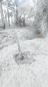 بستان • ناحه اور • ١٨٠٠م