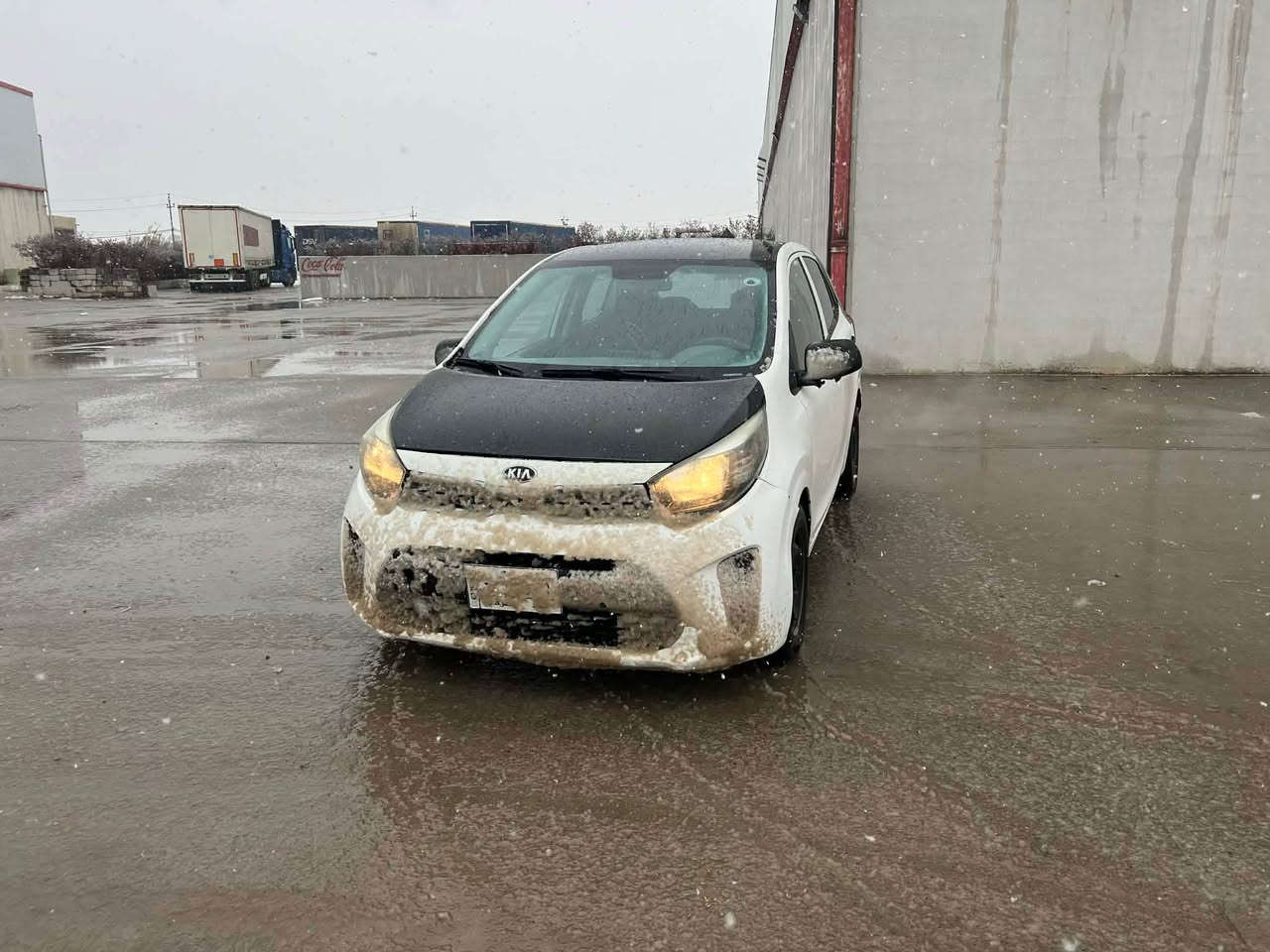 موديل ٢٠١٨كيا بيكا نتو كيرو مكينه به شه ر براوه ى دوبه يه واتا بى ره قمه كيشه مه ده نى به شه رت سعر ٥٠$مجال*********** أربيل, العراق
