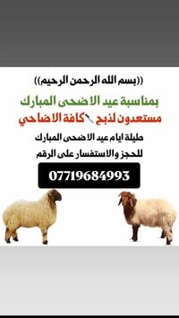 #كصاب_متنقل_خابرني_اجيك_البيتك اتصل اجيك البيت  شعب البنوك حي اور   07...