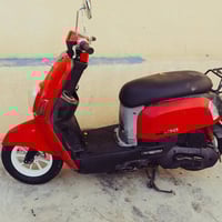 ماكس بوليس • ختم واحد • مكفول