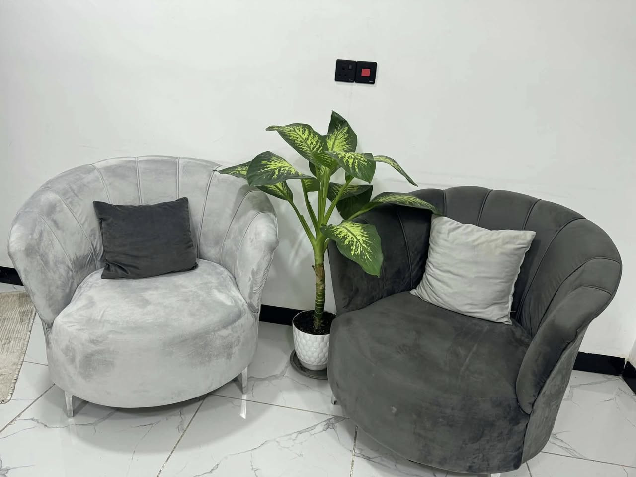 تخم 8مقاعد 400 الف 
ميز بلازمه ورفوف 100 الف 
العنوان بغداد صليخ


**إذا كنت صاحب هذا الإعلان وتريد حذفه لأي سبب، رجاءا أرسل رسالة إلى الدعم الفني**