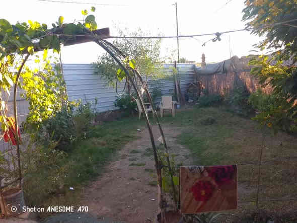 السلام عليكم عندي دار للبيع المساحه الكليه 500 متر اصلاح زراعي البناء بلوك منطقه الورديه الامام علي بن الحسن ابو هدمه متوفره كل الخدمات اتصل على رقم الهاتف *********** اخوكم ابو يزن *********** السعر 45 وبي مجال
