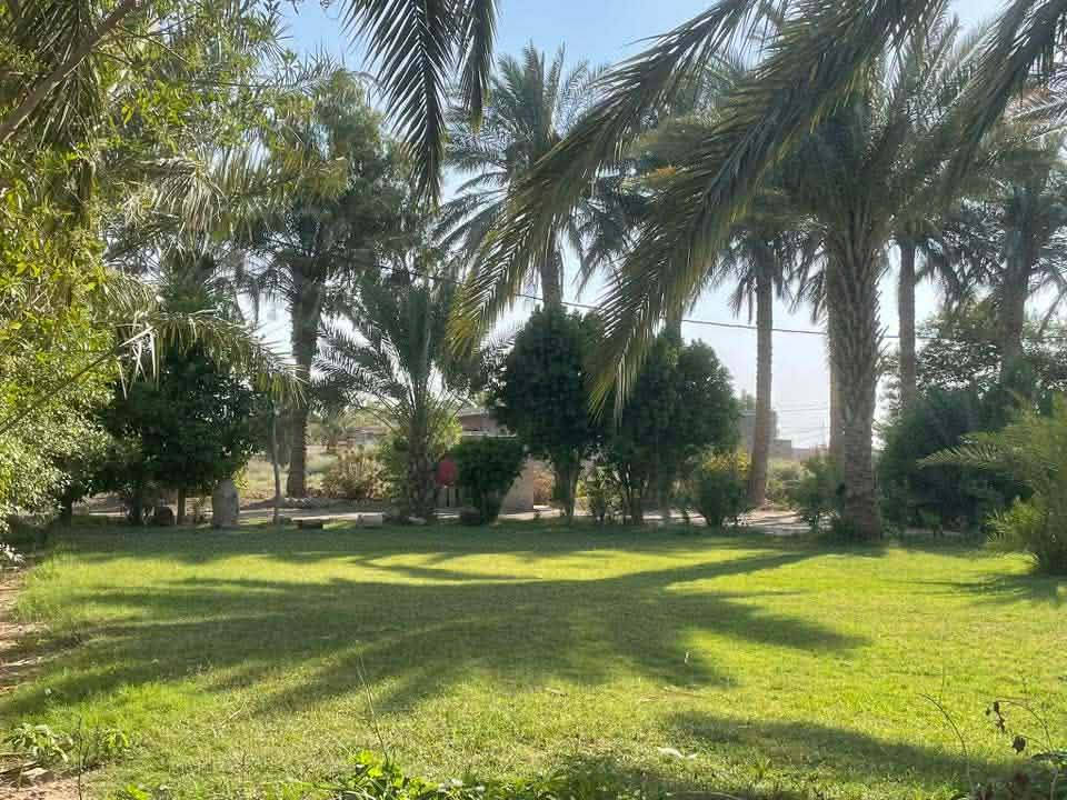 للبيع 40 دونم عقد 117 زراعي شاطيه كاع كلش حلوه تحتوي علي بيتين شط يبعد عن بيت ٣٠ متر من كدام كاع ومن نهايته شط مضخات مي نهر وحده سقي صيف شتا المكان بالكوت النعمانيه مراسله على خاص


**إذا كنت صاحب هذا الإعلان وتريد حذفه لأي سبب، رجاءا أرسل رسالة إلى الدعم الفني**