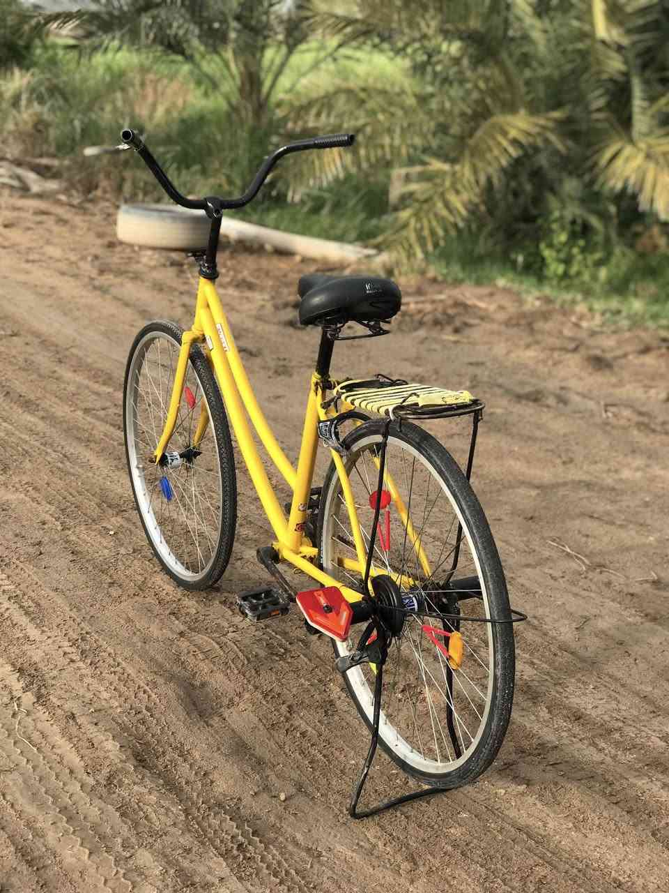 السلام عليكم بايسكل للبيع بناتي حجم ٢٦ مصبوغ  ما بي غراض السعر ٥٥ وبي مجال مكاني شطره


**إذا كنت صاحب هذا الإعلان وتريد حذفه لأي سبب، رجاءا أرسل رسالة إلى الدعم الفني**