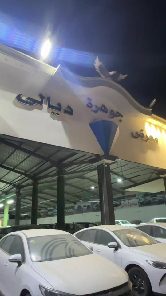 #معرض_كرم_ديالى 


**إذا كنت صاحب هذا الإعلان وتريد حذفه لأي سبب، رجاءا أرسل رسالة إلى الدعم الفني**