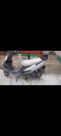 ماكس منغولي • جديده • حاويه