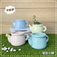 مزهريات ميني • ابريق شاي • زراعة مائية