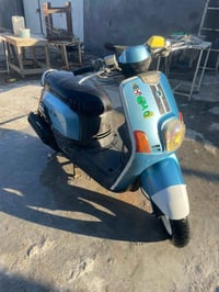 ماكس بوليسي • بحاجة بستم وبوش • قضاء المدينه