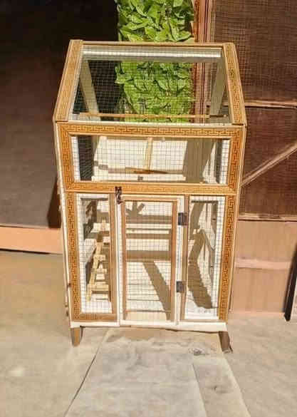 قفص للبيع الجوزي ب٣٠ والاخضر ب٤٠ العنوان كربلاء حي الاطارات للاستفسار الاتصال ع هذه الرقم ***********او المراسله ع الخاص
