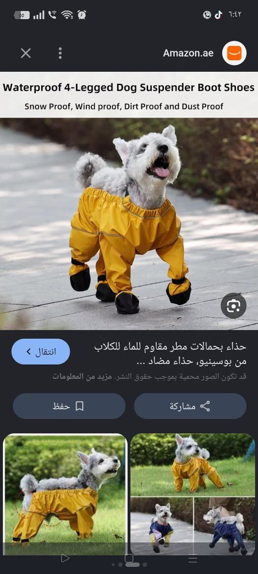 مال حيوانات للبيع كلهم جديد


**إذا كنت صاحب هذا الإعلان وتريد حذفه لأي سبب، رجاءا أرسل رسالة إلى الدعم الفني**