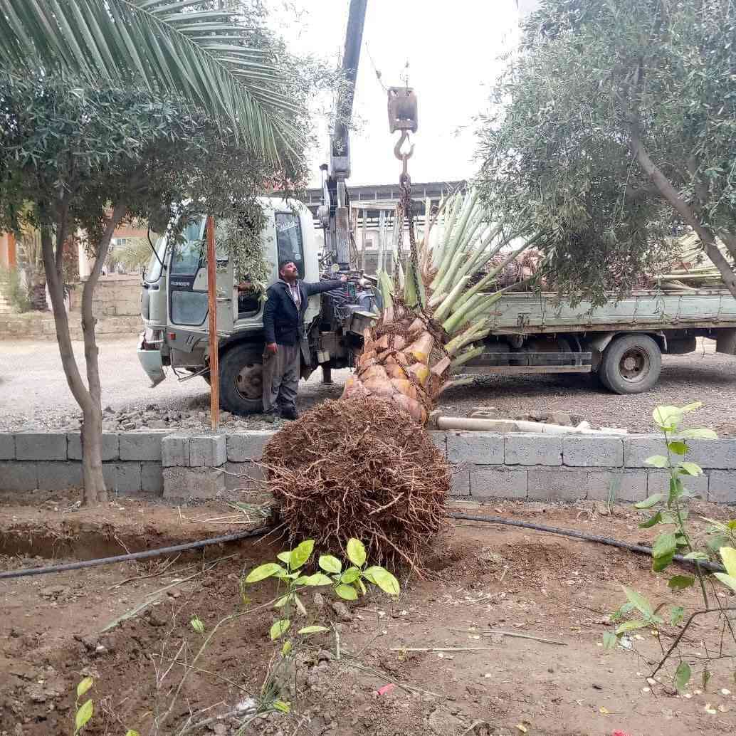 السلام عليكم ورحمة الله وبركاته
قص فسايل قلع نخل أحجام كبيره بطينتهه
زرع تنضيف بخبره ونمو وسمك (في هاذه المجال 15سنه الفضل الله
شغل ثيلات نازله حسب الطلب شرط أرضية مصطره ويه تجهيزه بنواع الورود
زرع بساتين طرق هندسيه كلهاذه بفضل الله تعالى
للتصالح ***********
