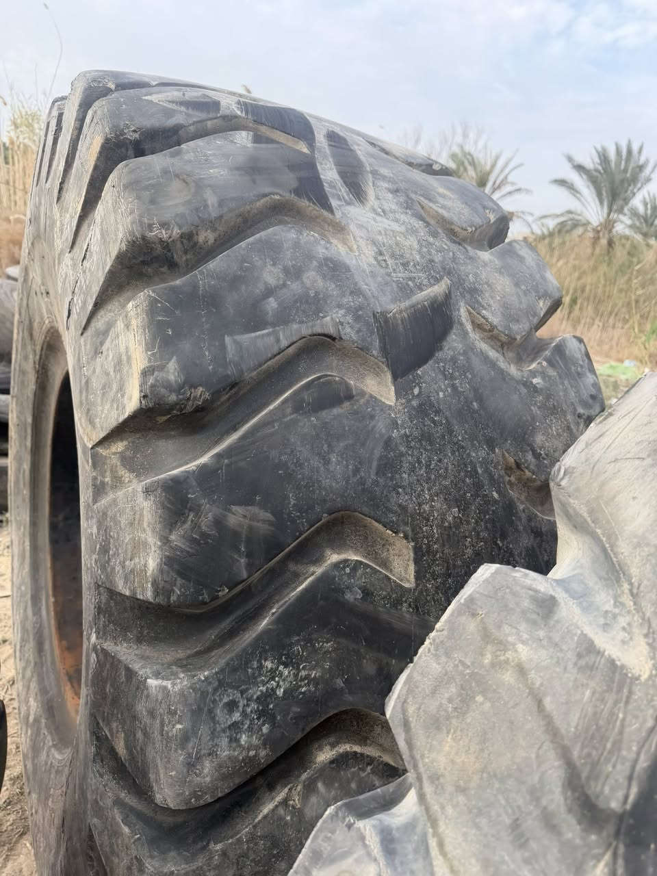 تايرات شفل
متوفر  تاير شفل جوبلس
القياسات 
26.5/25
23.5/25
عنوانا بابل الحلة حي الصناعي طريق حلة -ديوانية 
محلات ابو زيد العزاوي لتجارة الاطارات والبطاريات 
هاتف 
***********
***********
