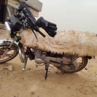 سولنك • موديل 2023 • العبيدي الخصيم