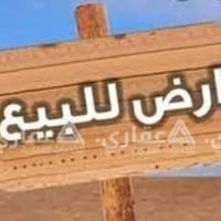 بابل حله • طابو زراعي • ٢٤٠م