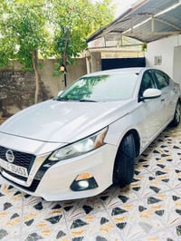 التيما ٢٠١٩ • فول اوبشن • ديالى شهربان