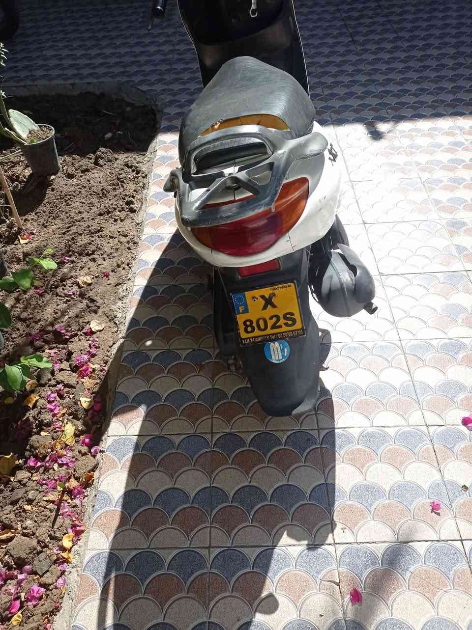 دراجه دولفين للبيع الدراجه مفتوحه تجفيت مره وحده للبيع السعر خاص مكانه السماوه


**إذا كنت صاحب هذا الإعلان وتريد حذفه لأي سبب، رجاءا أرسل رسالة إلى الدعم الفني**