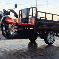 ستوته ٢٠١٤ • كفالة سنة • احمر