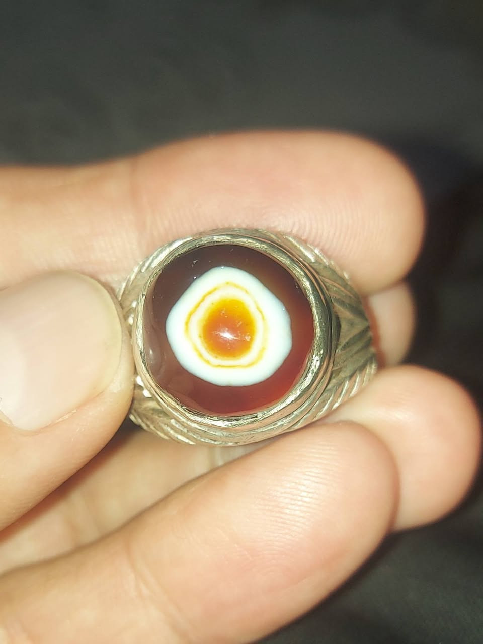 سليماني احمر هندي السعر خاص


**إذا كنت صاحب هذا الإعلان وتريد حذفه لأي سبب، رجاءا أرسل رسالة إلى الدعم الفني**