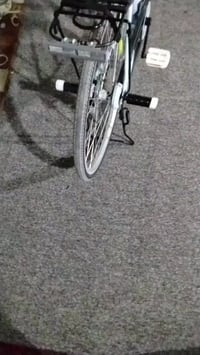 بيسكل • الماجديه سيد جميل