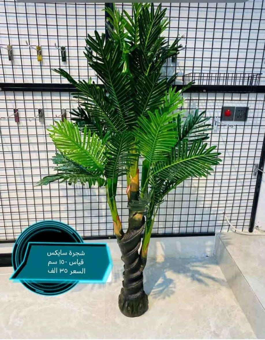 بسم الله توكلنا على الله
دلع بيتك بس ويانه وبشرط
 احلى من الصورة
توجد خدمة توصيل لجميع المحافظات


**إذا كنت صاحب هذا الإعلان وتريد حذفه لأي سبب، رجاءا أرسل رسالة إلى الدعم الفني**