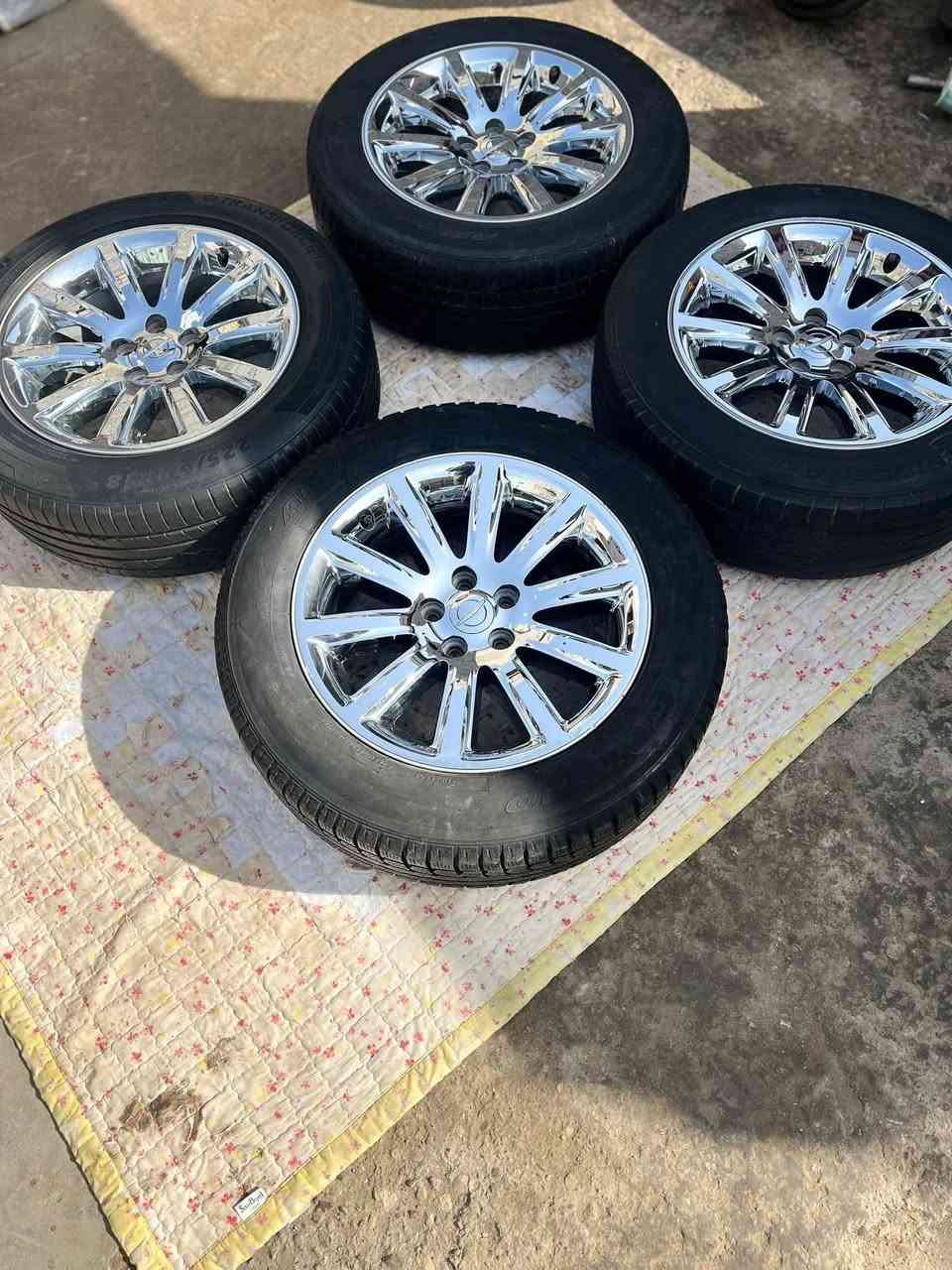 تخم ويل وباما كروم حجم 18 مل كصه ***********
