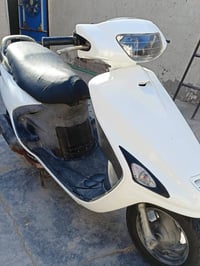 فراشه • شغال • الزبير