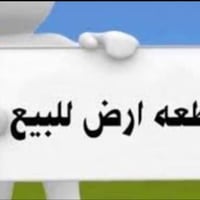 مقابل سيد إسماعيل • ١٠٠م • سند ٢٥