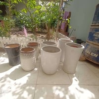 سنادين • سندان • فرفوري • سنادين فرفوري • سندان كبير • سنادين زرع • مز...