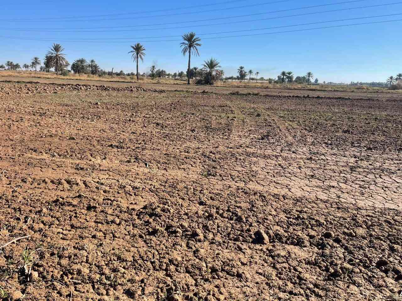 قطعة أرض للبيع
طابو زراعي سند ٢٥ تحويل مباشر
الموقع الرمادي ناحية اليرموك قرب مزرعة شيخ إحسان
المساحة ثنين دونم ونص
قريبه من جميع الخدمات 
شارع خمسة متر
الأرض صالحة للزراعة او اي مشروع استثماري
سعر الدونم ١٨ مليون
للإستفسار الاتصال على الأرقام التالية
*********** واتساب
*********** واتساب
او مراسلة الصفحة في اي وقت نعتذر عن التأخير عن الرد في بعض الأحيان
نستقبل جميع العروض العقارية في مدينة الرمادي
ابو احمد
