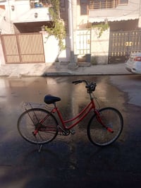 دراجة • بلا عيب • داود