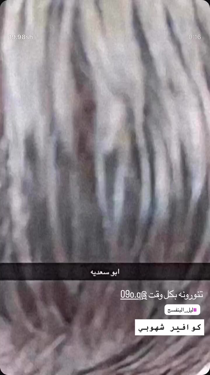 كوافير شهوبي ***********
