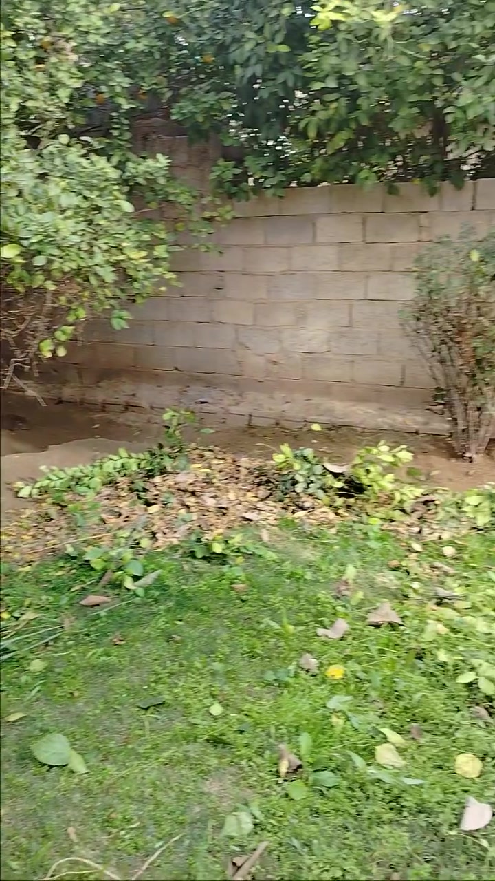 السلام عليكم 
يوجد حجوزات
قص الحدايق
 واطراف تقليم 
للعيد الى يريد 
يحجز يراسلني 
او يحجز اتصل على 
الرقم ***********
