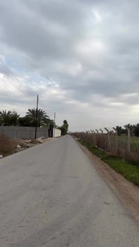 دوانم طابو ملك صرف السلاميات شارع معمل الإسفنج ٨دوانم للبيع يوجد تقطيع...