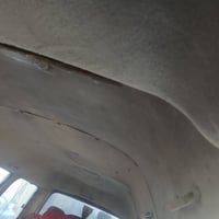 تنته مال منغولي ١٤ للبيع بل٧٠  الف وبيه مجال الاتصال 07866969612