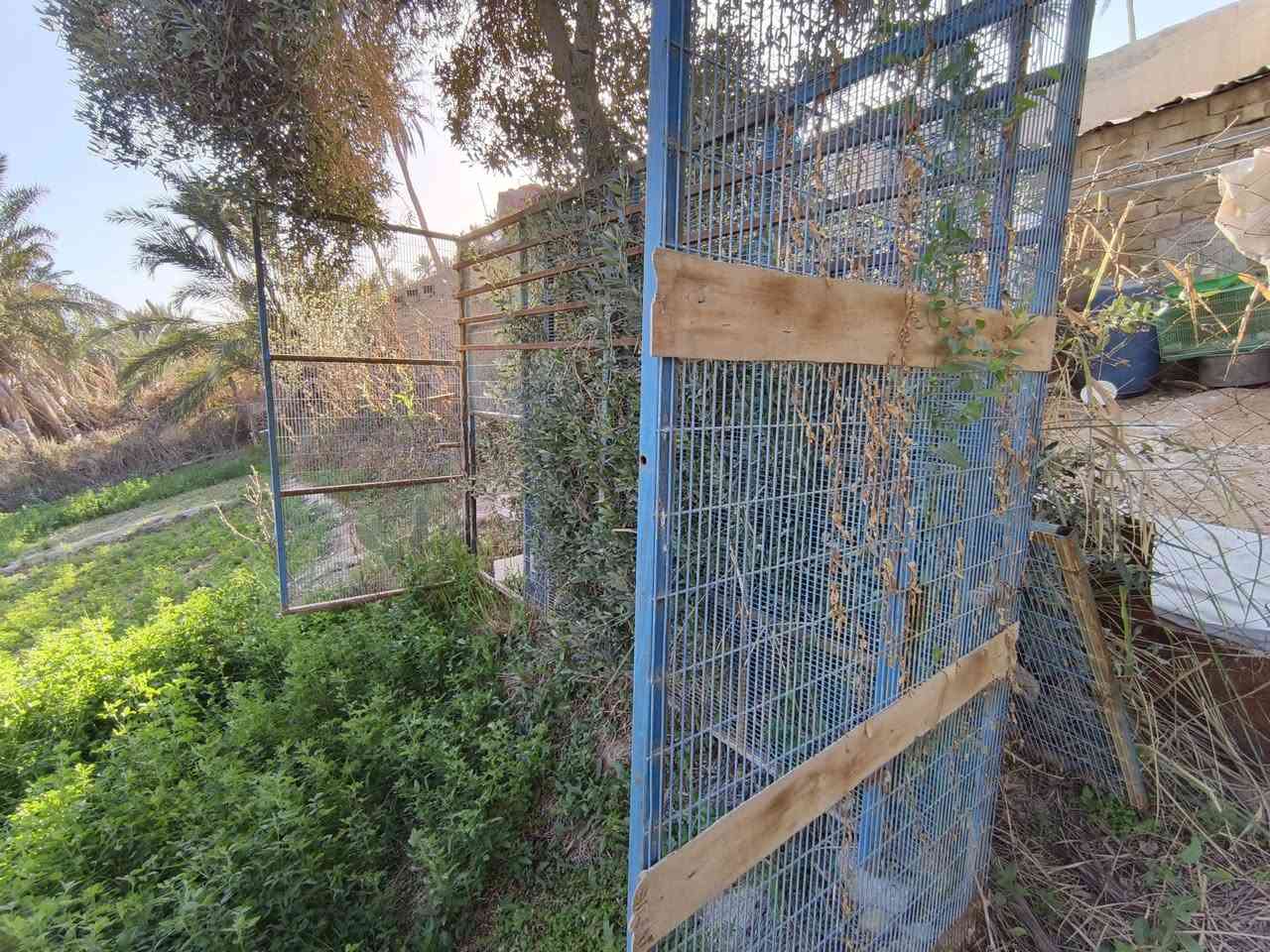 قفص حديد العرض متر
الارتفاع مترين 
الطول ٣ أمتار كامل مكاني طويريج رجيبه خدمت توصيل ماكو إلي يحب يشتري يتفضل خاص


**إذا كنت صاحب هذا الإعلان وتريد حذفه لأي سبب، رجاءا أرسل رسالة إلى الدعم الفني**