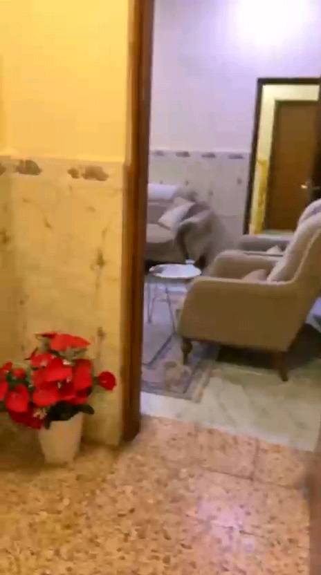 سلام عليكم بيت البيع 200متر واجهي10 نزال 20 5غرف نوم صحيات3 مطبخ حار +بارد طابقين بناء حديث العنوان تنومه صالحيه نزلت سيد حسين وكيل الكاع مالته طابو صرف زراعي بسمي بيت مانه ابن اجد بيت نضيف تجي شوف بعينك بيت مرتب باقي تفاصيل تجي شوف بعينك بي نزلتني على جسر يطالي وشارع صالحيه***********سعر 150بي مجال  اي تفصيل بعد راسلني وتساب هذه رقم وتساب بلاش لا ترسل عله صفحه ما توجد  بيه دامن 