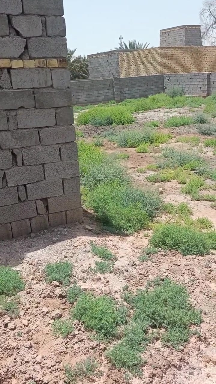 قطعة للبيع مساحة 600 متر مسيجة بالكامل جميع الخدمات متوفره ماي كهرباء مجاري
على طريق ابو ماش قرب صيدلة الثانية تبعد عن الشارع 150متر 

***********
0781437803

