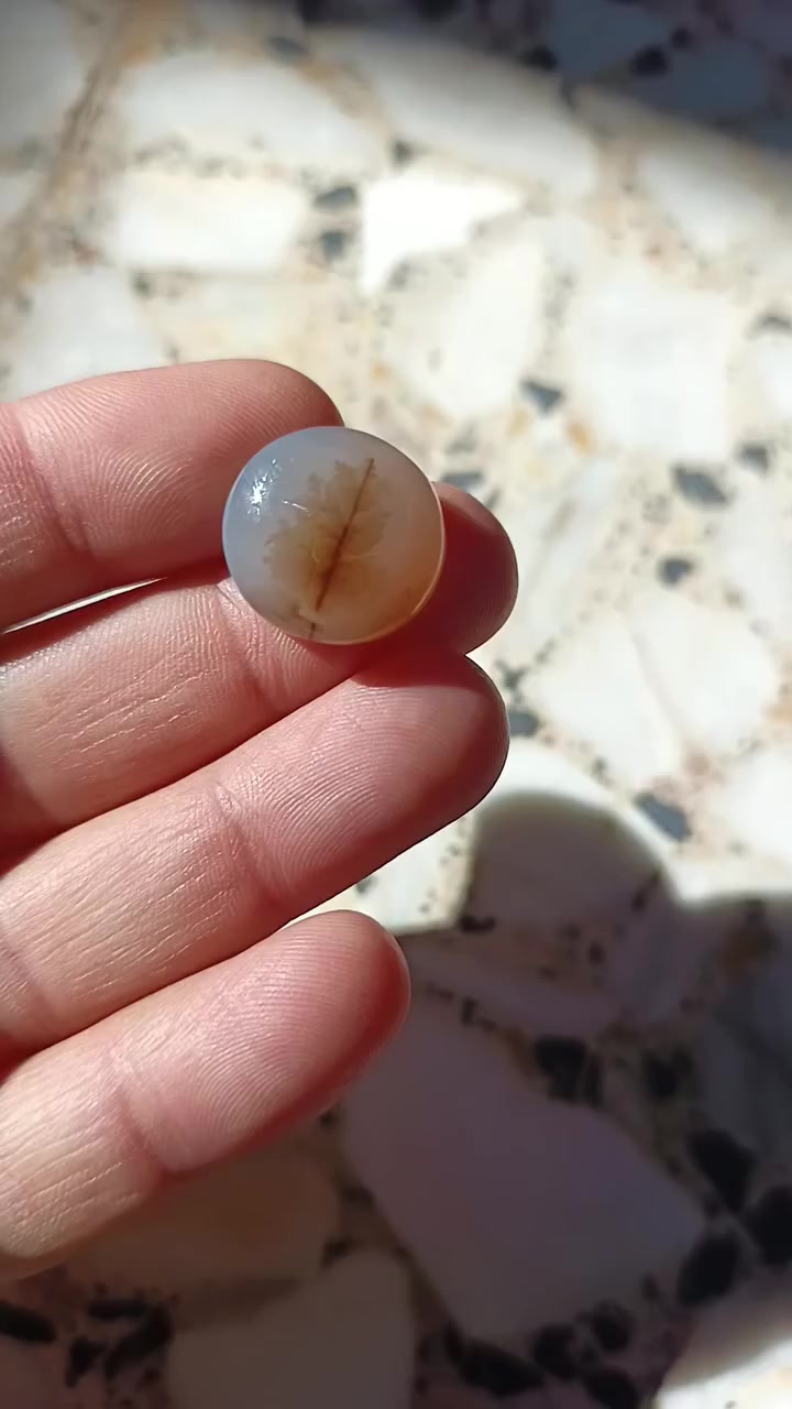 من روائع العقيق اليماني الشجري


**إذا كنت صاحب هذا الإعلان وتريد حذفه لأي سبب، رجاءا أرسل رسالة إلى الدعم الفني**