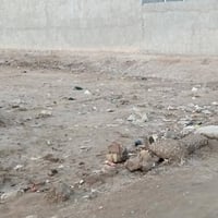 مثلث الكلابين • ٢٥٠م • سند ٢٥