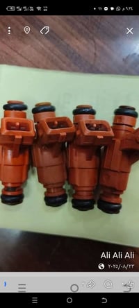 نوزل • فرنسي • بصرة