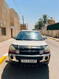 توسان • ٢٠٠٨ • صبغ