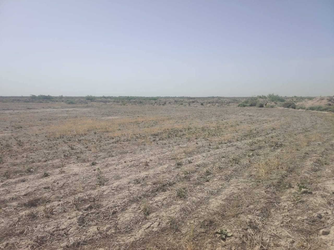ارض زراعيه للبيع قرب السيد ابو لماش المساحه ١٨دونم اتواصل على الرقم***********
