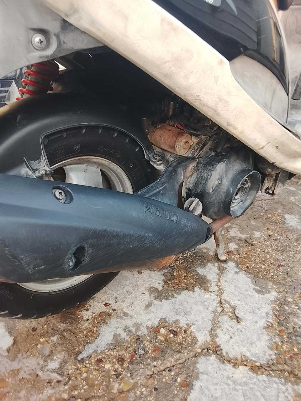 شباب منغولي رمبه صالي ٤تشر من نزلته بلاديه ب٦٠٠وبيه مجال بغداد شهداء البياع


**إذا كنت صاحب هذا الإعلان وتريد حذفه لأي سبب، رجاءا أرسل رسالة إلى الدعم الفني**