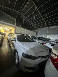 ٢٠١٧ • أربيل • حالة سيئة