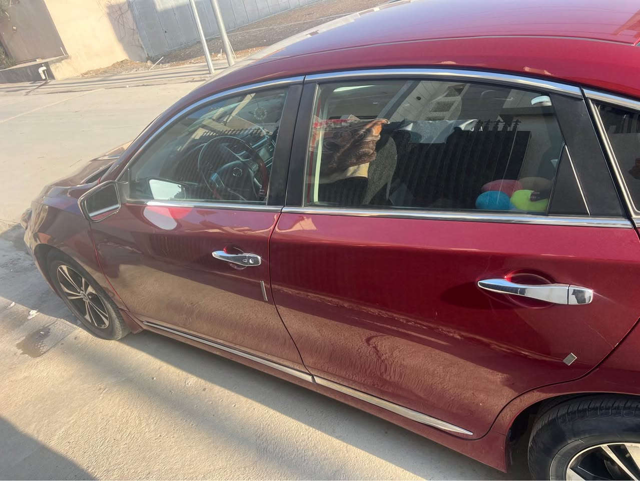 للبيع التيما 2017 فول مواصفات ماعدا فتحه بصمه ابواب بصمه تشغيل تحكم استيرن كشنات كهرباء شفتات ستيرن 
سنويه لل29 سياره ماشاءلله خير من الله كل نقص مابيها حداديه صدر جديد شرط تحويل وغرامات سعر 125 بيها مجال مكانها كركوك رقم ***********
واتساب *********** كركوك, العراق
